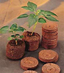 Jiffy 7 Peat Pellets 42mm - Seed Starting pellets - 50 Jiffy 7 Peat Pellets
