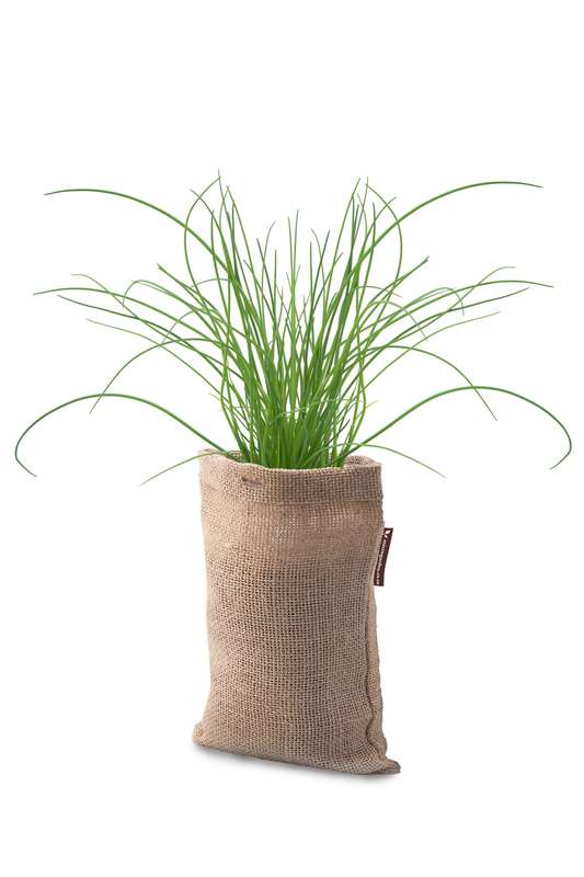 Microgarden Grow Bag, Growing Substrate and Chives herb seeds