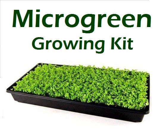 Microgreen Growing Kit incl Seeds, Growing Tray & Growing Medium