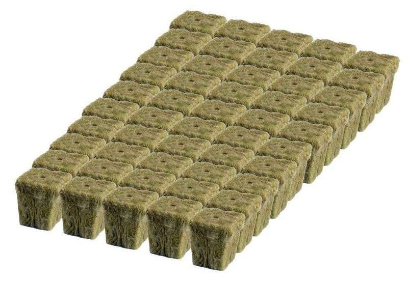 Rockwool plugs for seedlings - 200 Rockwool Plugs