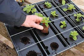 VertiGarden - Double Unit with Water Tank