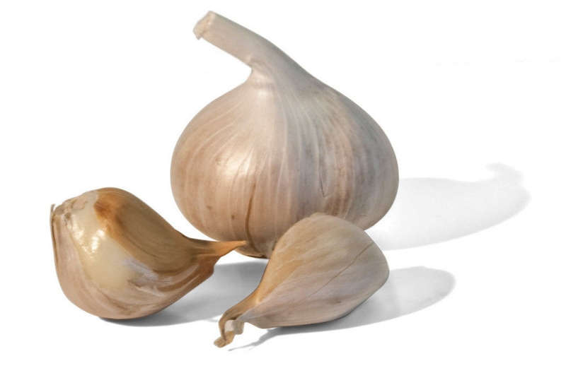 Garlic - Elephant Garlic Cloves / Bulbs - ... - 20 heads - Approx 100 Cloves (seeds) Elephant Garlic