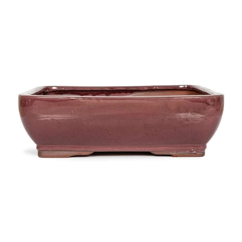 25 x 18 x 8cm - Glazed Bonsai Container - Oxblood