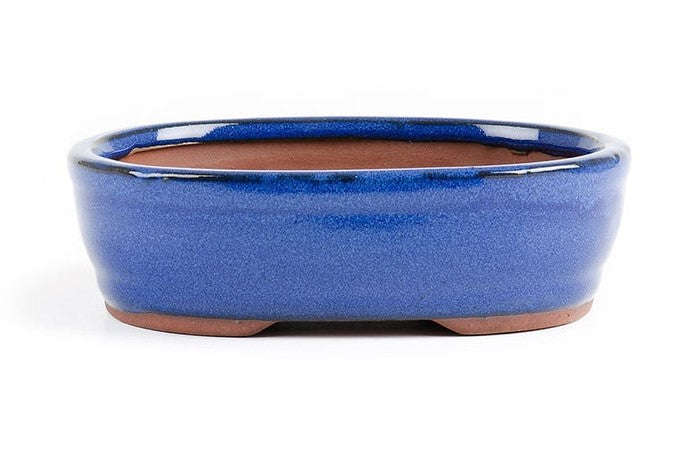 Glazed 15cm x 12cm x 5cm Bonsai Container - Dark Blue