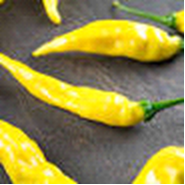 Aji Pineapple Chilli Pepper - Capsicum Annuum - Chilli Pepper - 5 Seeds