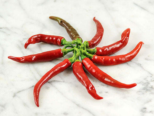 Ring of Fire Chilli Pepper - ORGANIC - Heirloom Vegetable - 10 Seeds