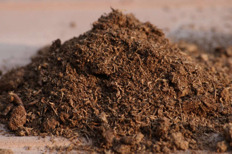 Sphagnum Peat Moss - 5 Litres