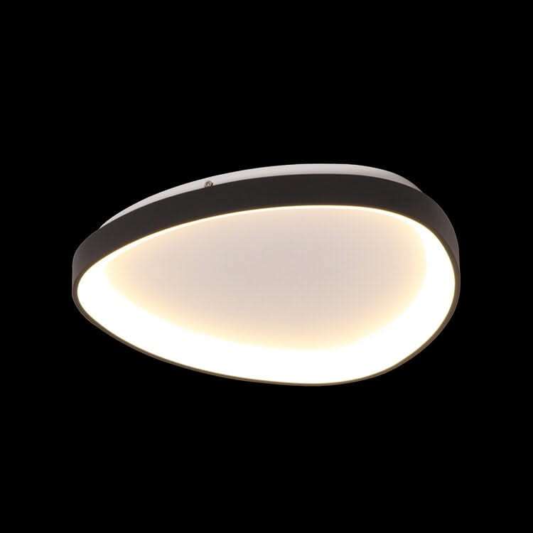 Emily Black / Metal LED Ceiling Light LED