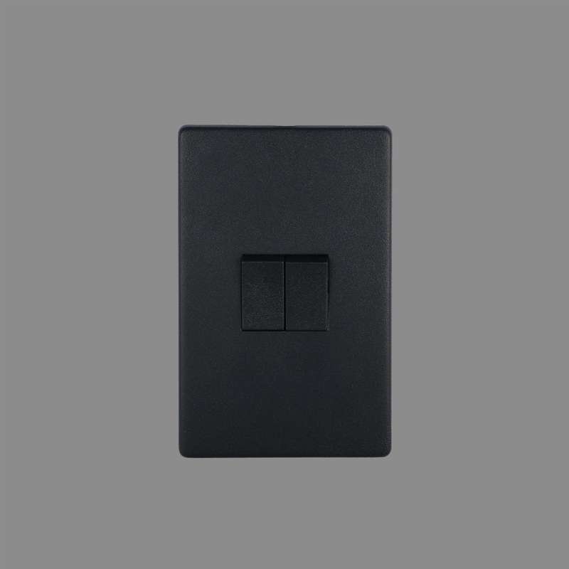 Black 2 Lever, 2 Way Switch
