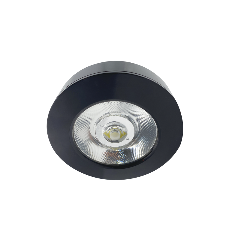 Samantha Indoor Surface Downlight
