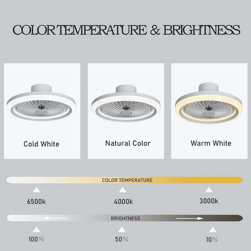 Casey Flush Mount LED Ceiling Fan