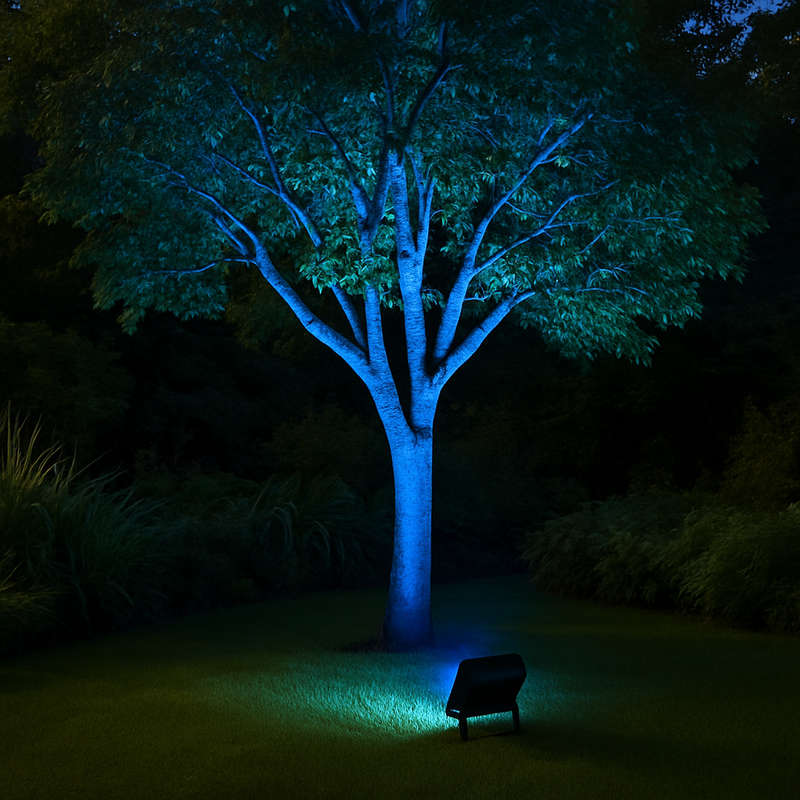 LED Colour Flood Lights - 10W Red, Green, Blue, Yellow
