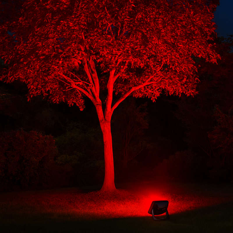 LED Colour Flood Lights - 10W Red, Green, Blue, Yellow