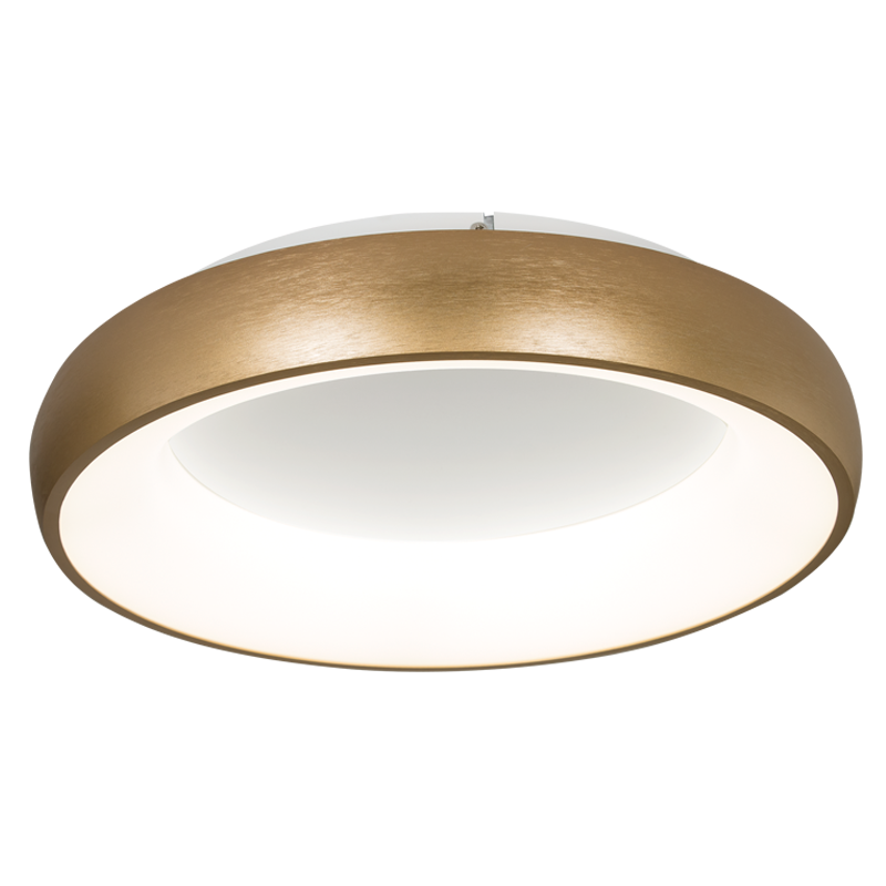 Karri Gold LED Ceiling Light