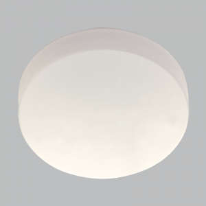 Large Polycarbonate LED Indoor Light