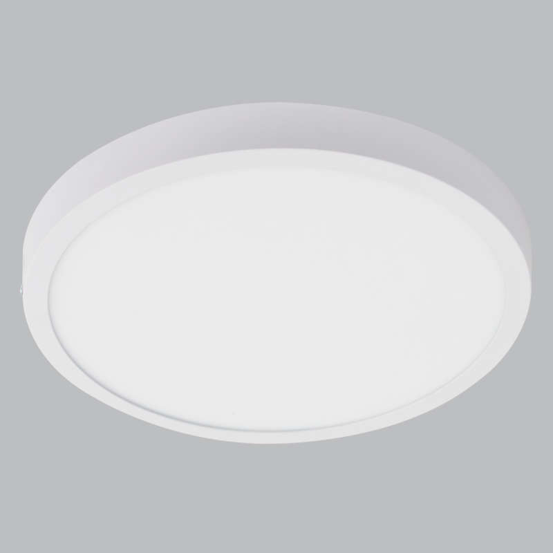 Theo Round 24W CCT LED Ceiling Light