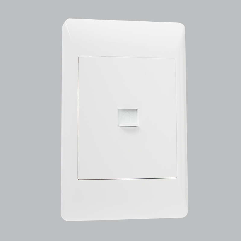 Data Point / Telephone Jack Socket - 2X4