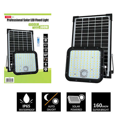 Solar Flood Light 4800