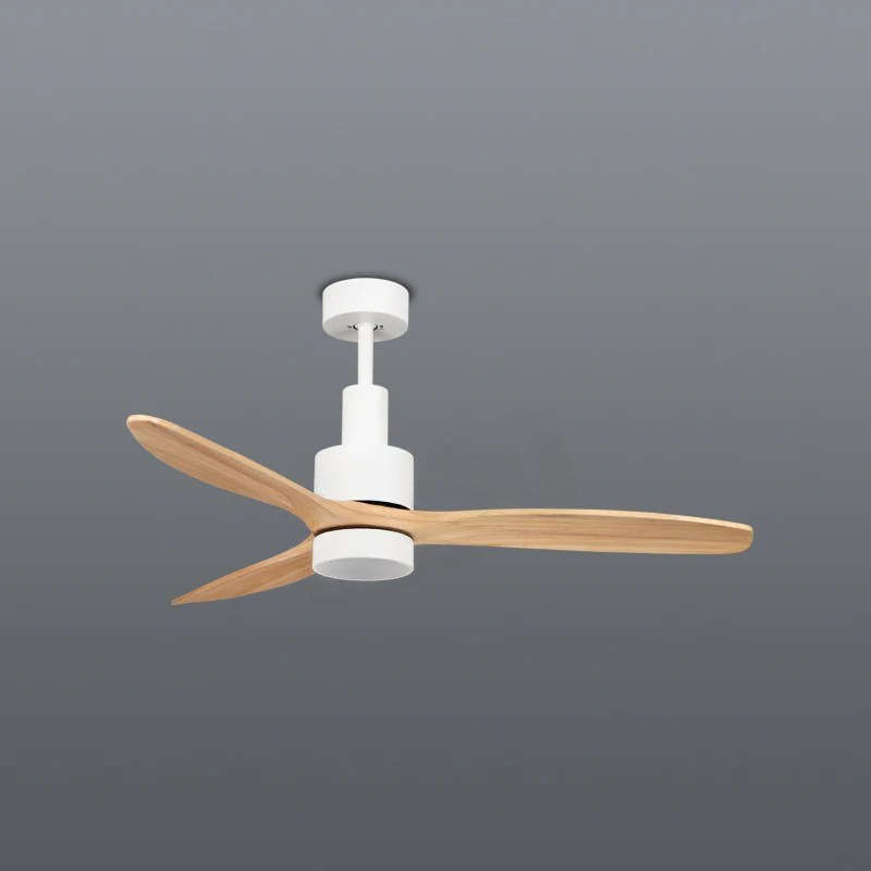 Fan-Atic LED Ceiling Fan (Spazio)