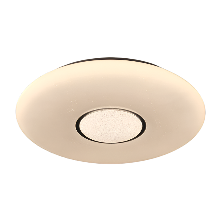 Ocean LED Ceiling Light