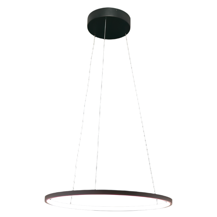 LED Black Pendant Light Dimmable Warm White