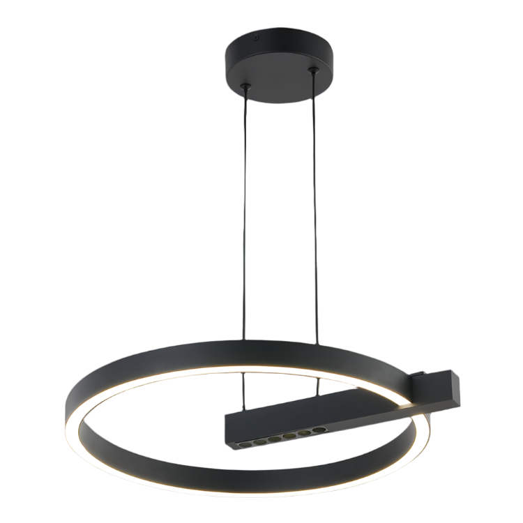 Black Q LED Pendant Light