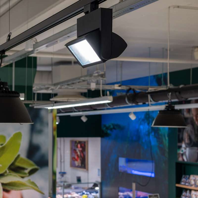 Expo 2 Wire 45W Track Light