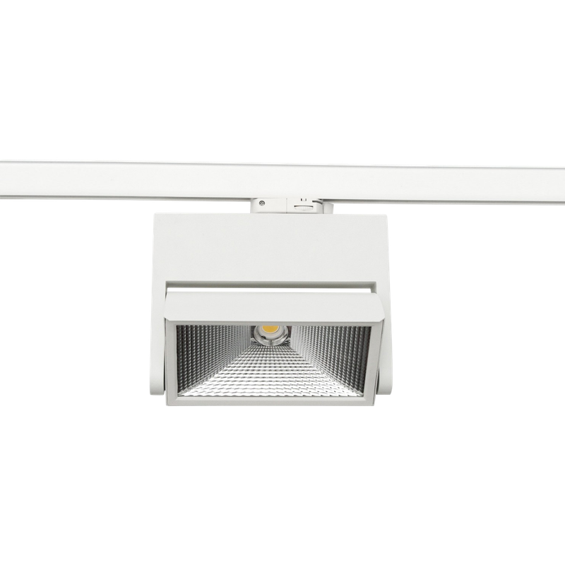 Expo 2 Wire 45W Track Light
