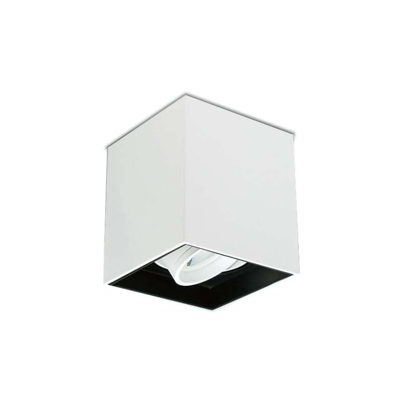 Lone Tilt White Surface Mount Down Light (Spazio)
