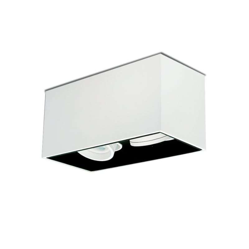 Lone Tilt White Surface Mount Down Light (Spazio)