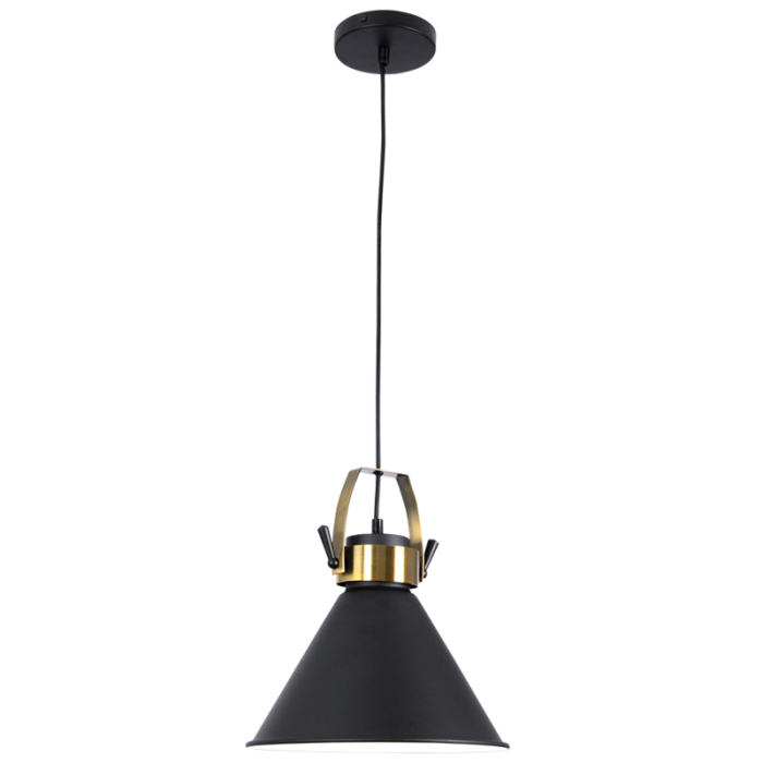 Black & Brass Pendant Light