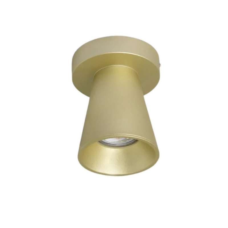 Kiddush Surface Mounted Down Light (Spazio)