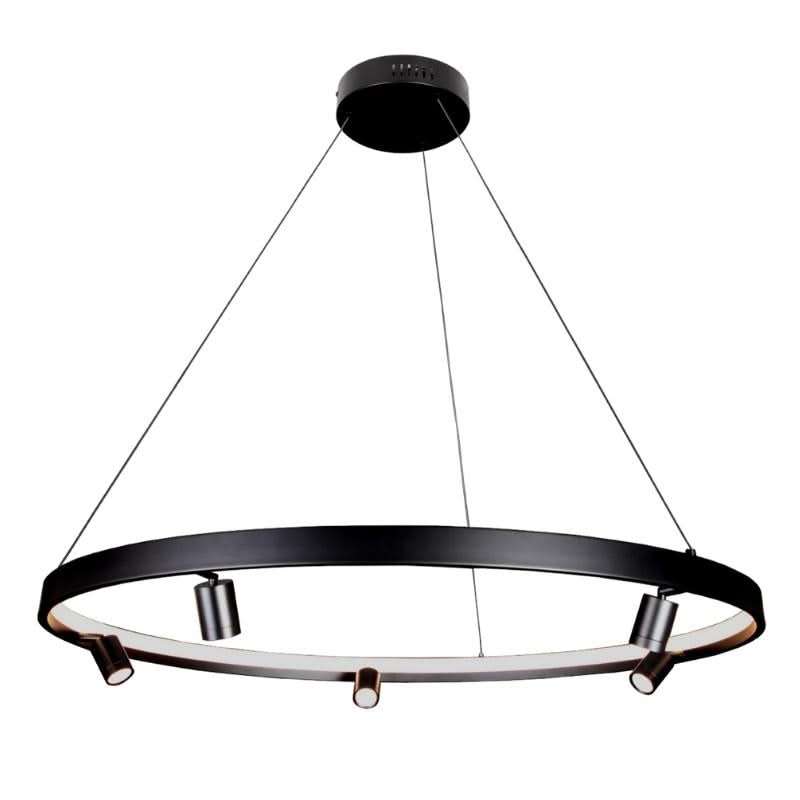 Niche LED Pendant & Spot Light
