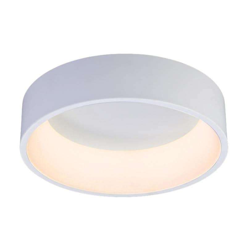 White Dimmable LED Ceiling Light