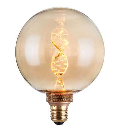 Decorative LED Bulb - G125 Amber DNA Filament Bulb