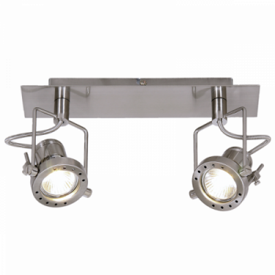 Swivel and Tilt Satin Spotlight Adjustable Dual Head