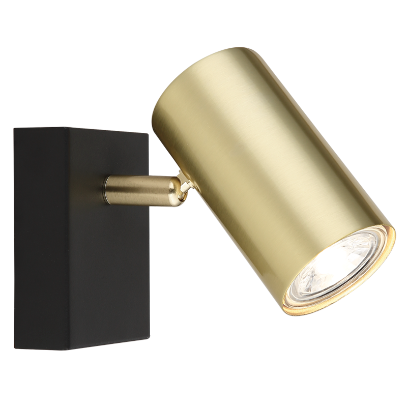 Punch Black & Gold 1 Light Spotlight