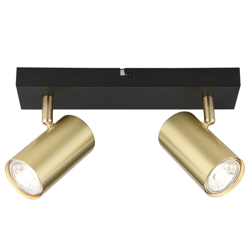 Punch Black & Gold 2 Light Spotlight