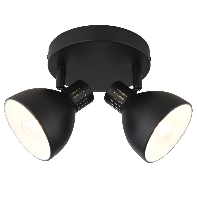 Kane Black 2 Light Spotlight