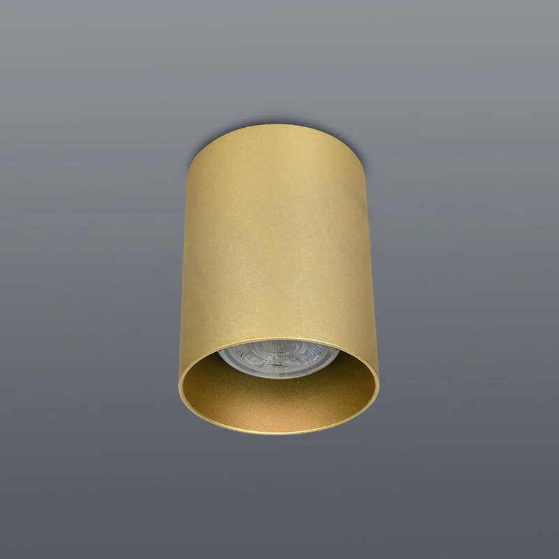 Solo Surface Mount Downlight Holder (Spazio)