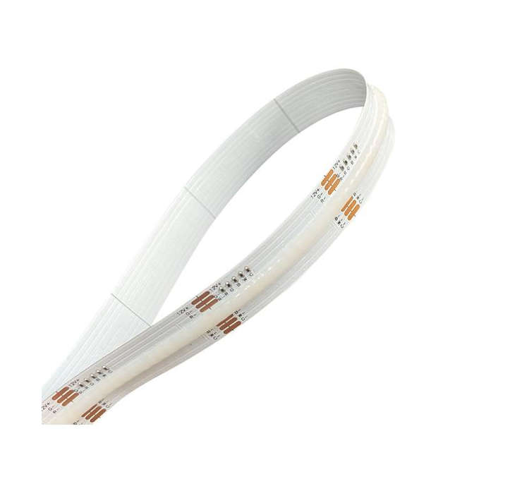 24V RGB & CCT LED Striplights (5 Year) (Spazio)