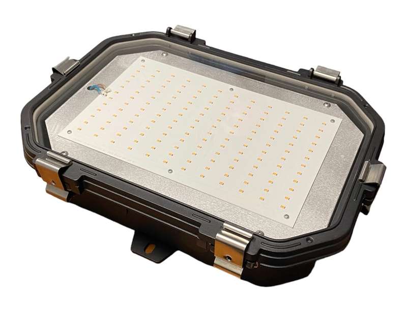 Titan Industrial LED Bulkhead - 5 Year