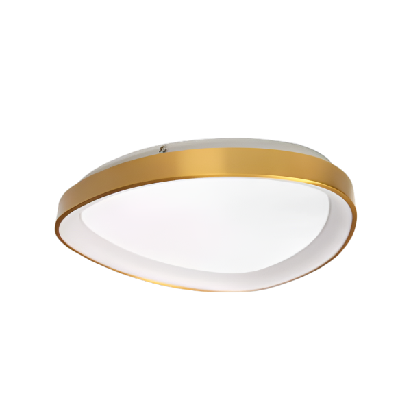 Gold Framed LED Ceiling Fitting Dimmable Indoor Light