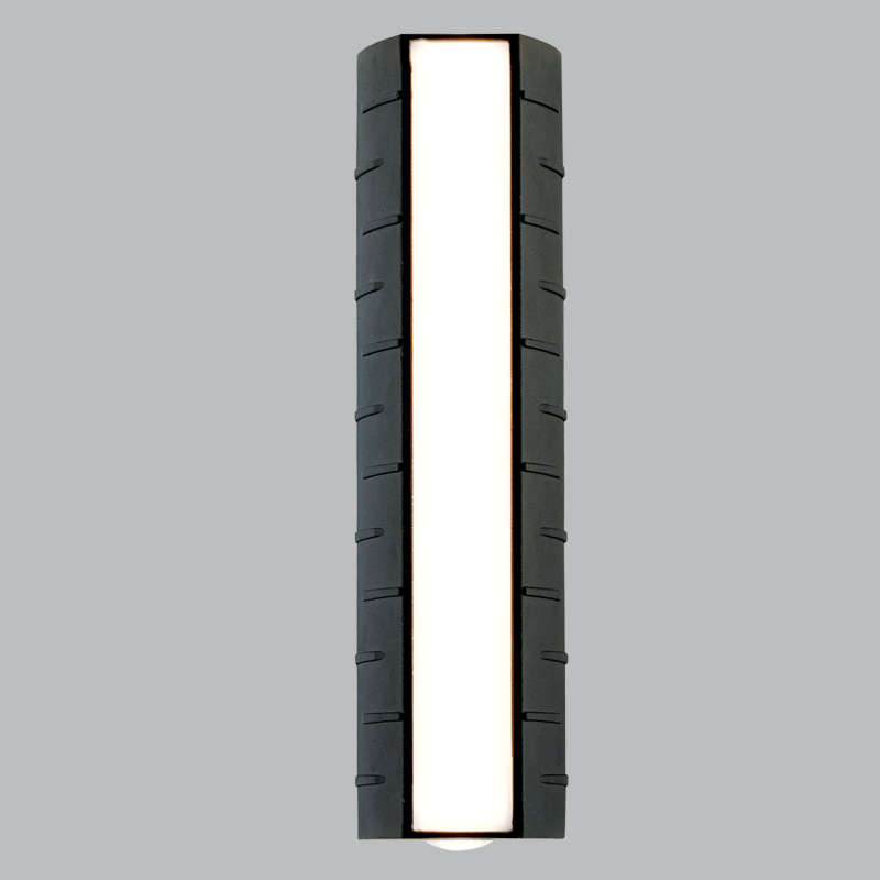 James Black Outdoor LED Wall Light LED IP65