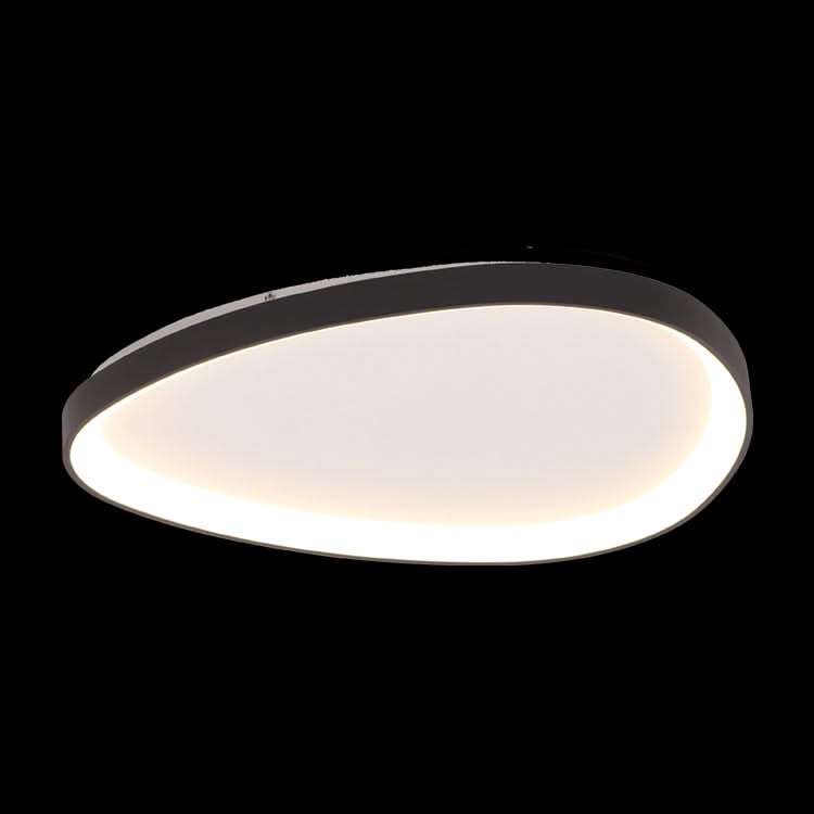 Isabella Large Ovoid Black LED Ceiling Light
