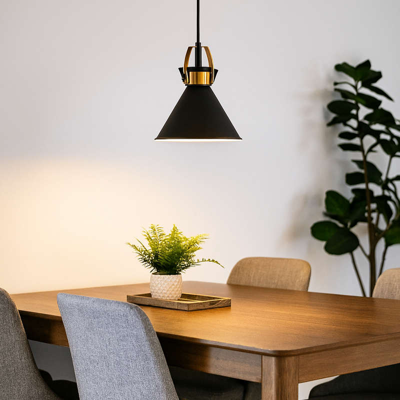 Black & Brass Pendant Light