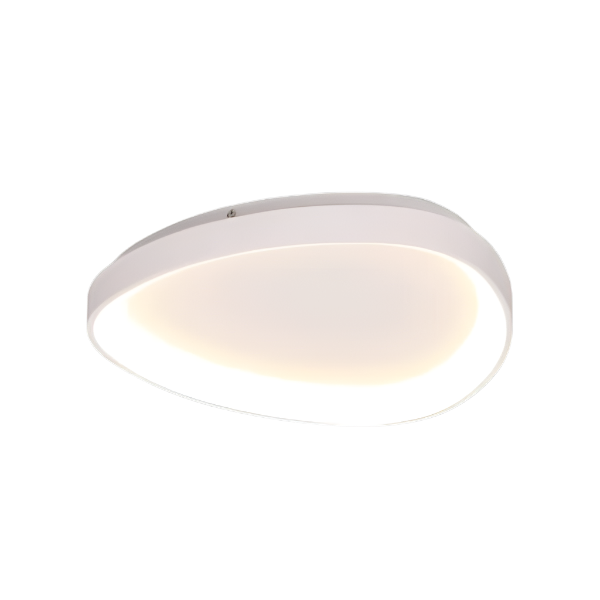 Ovoid Framed Indoor Ceiling Light - Isabel