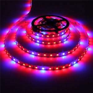 LED Grow Lights - 5050 LED Striplight 4:1 Ratio