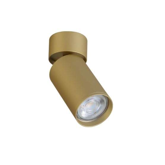Kaapstad Gold Adjustable Surface Mounted Spotlight (Spazio)