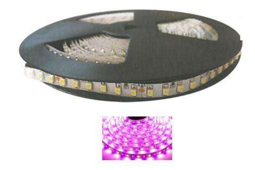 LED Striplight 12V - 3528 Waterproof (5m Roll)